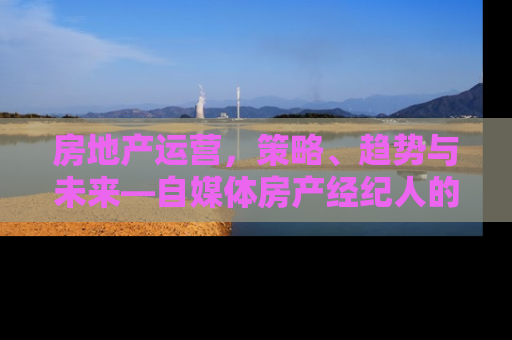 房地产运营，策略、趋势与未来—自媒体房产经纪人的深度解析