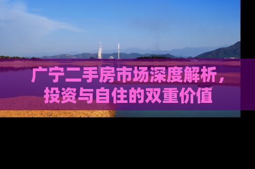 广宁二手房市场深度解析，投资与自住的双重价值
