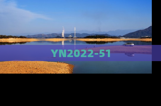 YN2022-51