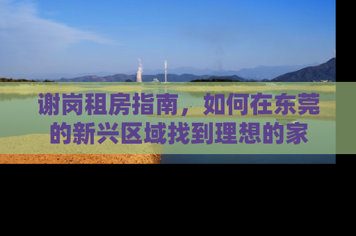 谢岗租房指南，如何在东莞的新兴区域找到理想的家