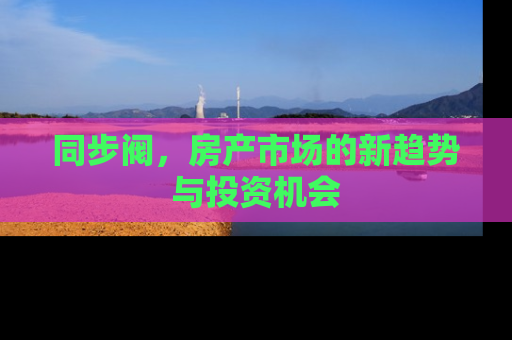 同步阀，房产市场的新趋势与投资机会