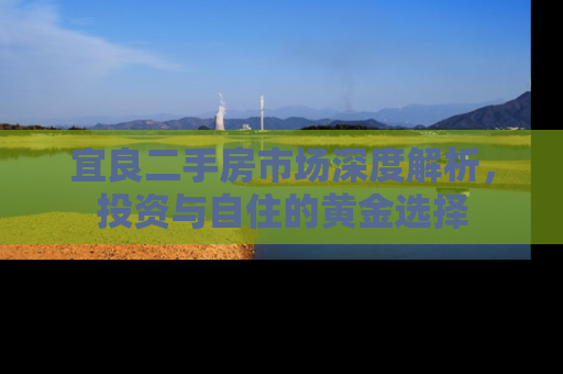 宜良二手房市场深度解析，投资与自住的黄金选择