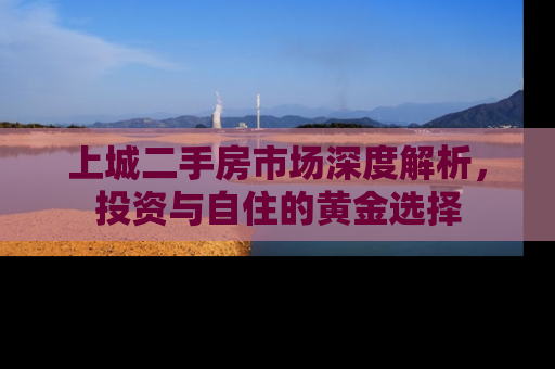 上城二手房市场深度解析，投资与自住的黄金选择