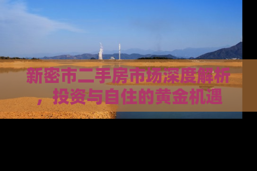 新密市二手房市场深度解析，投资与自住的黄金机遇