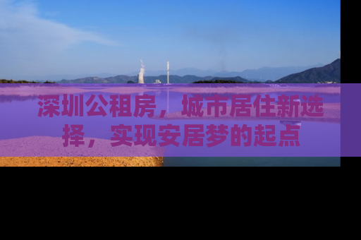 深圳公租房，城市居住新选择，实现安居梦的起点
