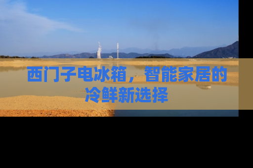 西门子电冰箱，智能家居的冷鲜新选择