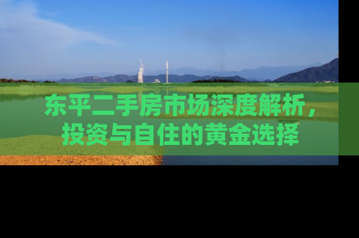 东平二手房市场深度解析,投资与自住的黄金选择 东平二手房市场深度解析,投资与自住的黄金选择