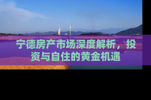 宁德房产市场深度解析，投资与自住的黄金机遇