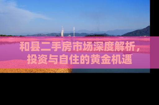 和县二手房市场深度解析，投资与自住的黄金机遇