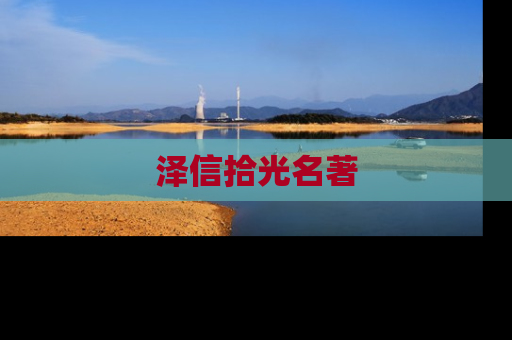 泽信拾光名著