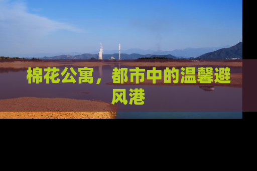 棉花公寓，都市中的温馨避风港