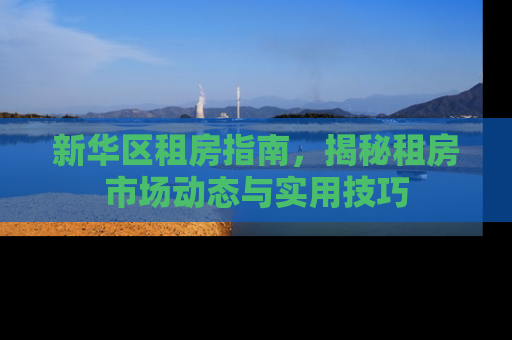 新华区租房指南，揭秘租房市场动态与实用技巧