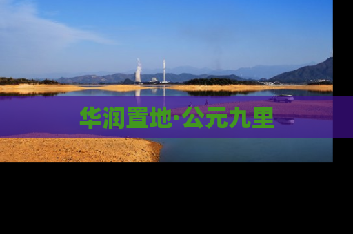 华润置地·公元九里