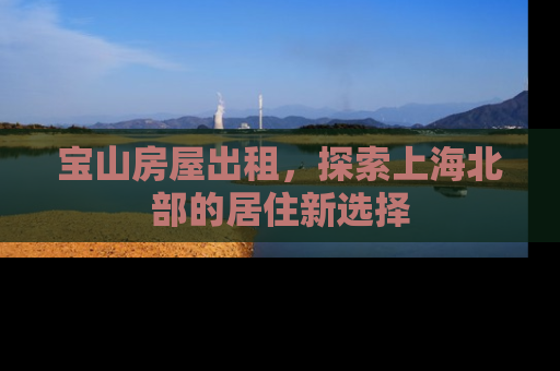 宝山房屋出租，探索上海北部的居住新选择