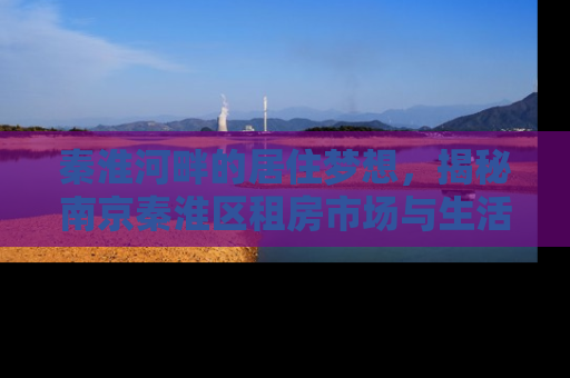 秦淮河畔的居住梦想，揭秘南京秦淮区租房市场与生活指南
