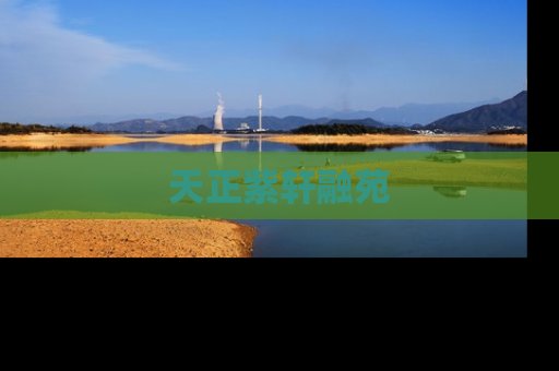 天正紫轩融苑
