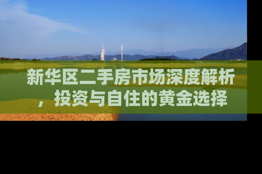 新华区二手房市场深度解析，投资与自住的黄金选择