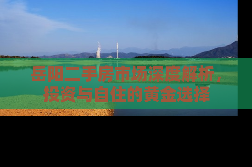 岳阳二手房市场深度解析，投资与自住的黄金选择