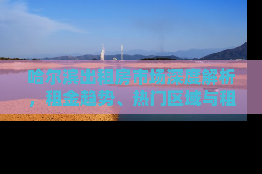 哈尔滨出租房市场深度解析，租金趋势、热门区域与租房攻略