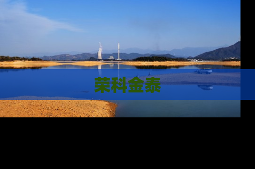 荣科金泰