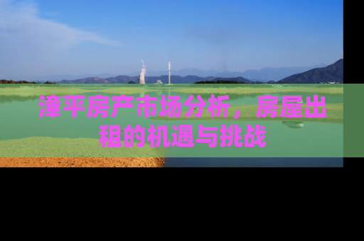 漳平房产市场分析，房屋出租的机遇与挑战
