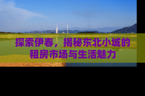 探索伊春，揭秘东北小城的租房市场与生活魅力