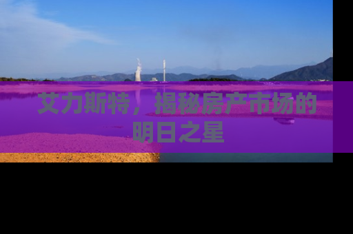艾力斯特，揭秘房产市场的明日之星