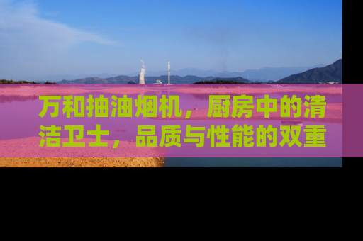 万和抽油烟机，厨房中的清洁卫士，品质与性能的双重保障