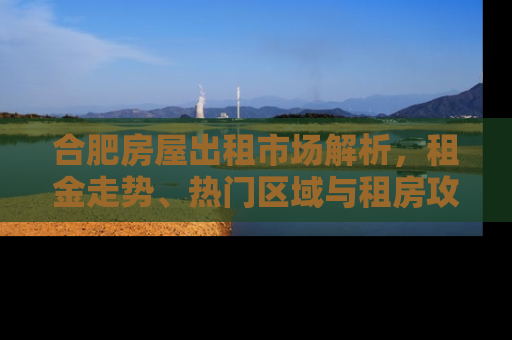 合肥房屋出租市场解析，租金走势、热门区域与租房攻略