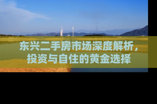 东兴二手房市场深度解析，投资与自住的黄金选择