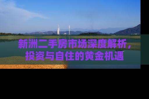 新洲二手房市场深度解析，投资与自住的黄金机遇