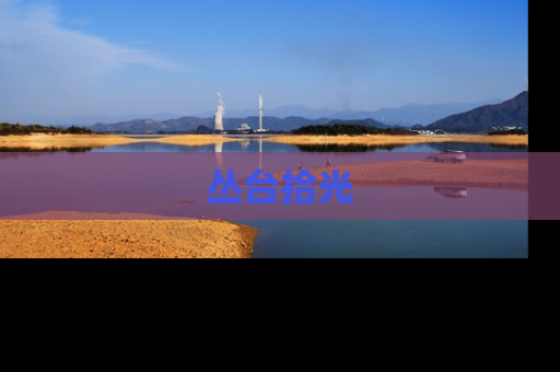 丛台拾光