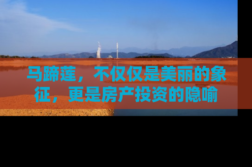 马蹄莲，不仅仅是美丽的象征，更是房产投资的隐喻
