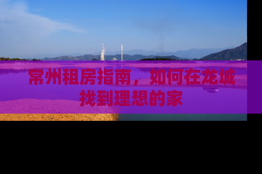 常州租房指南，如何在龙城找到理想的家