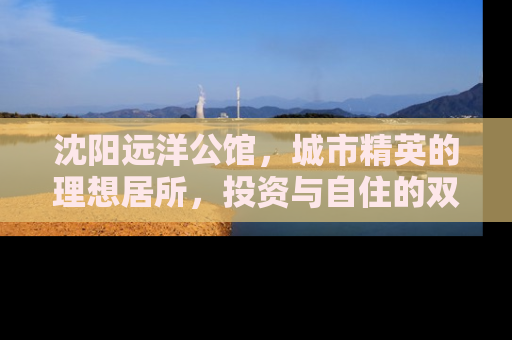 沈阳远洋公馆，城市精英的理想居所，投资与自住的双重价值