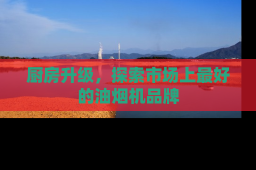 厨房升级，探索市场上最好的油烟机品牌