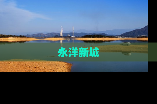 永洋新城