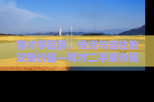 育才学区房，投资与自住的双重价值—育才二手房市场深度解析