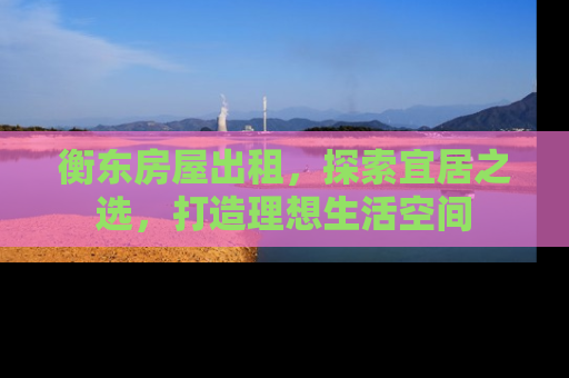 衡东房屋出租，探索宜居之选，打造理想生活空间