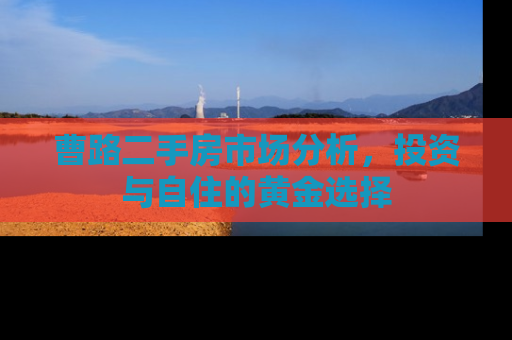 曹路二手房市场分析，投资与自住的黄金选择