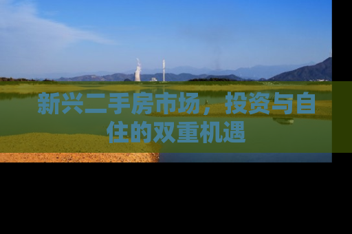 新兴二手房市场,投资与自住的双重机遇 新兴二手房市场,投资与自住的双重机遇