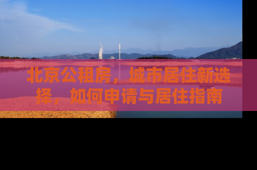 北京公租房，城市居住新选择，如何申请与居住指南