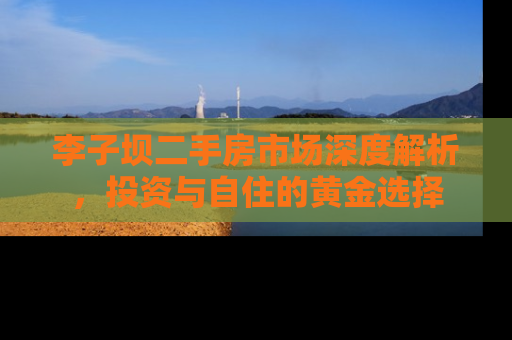 李子坝二手房市场深度解析，投资与自住的黄金选择