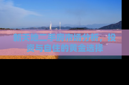 新天地二手房市场分析，投资与自住的黄金选择