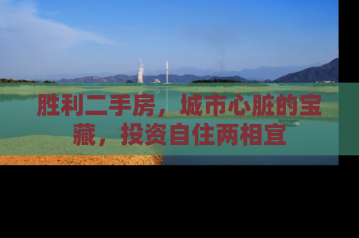 胜利二手房，城市心脏的宝藏，投资自住两相宜