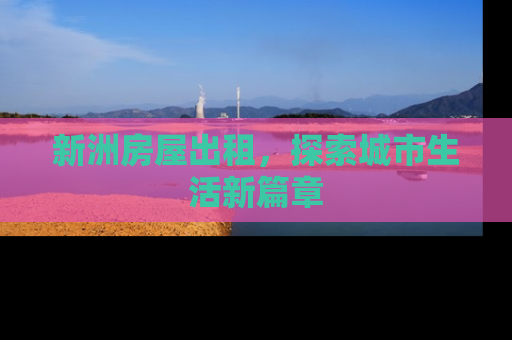 新洲房屋出租，探索城市生活新篇章