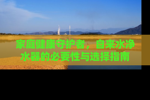 家庭健康守护者，自来水净水器的必要性与选择指南