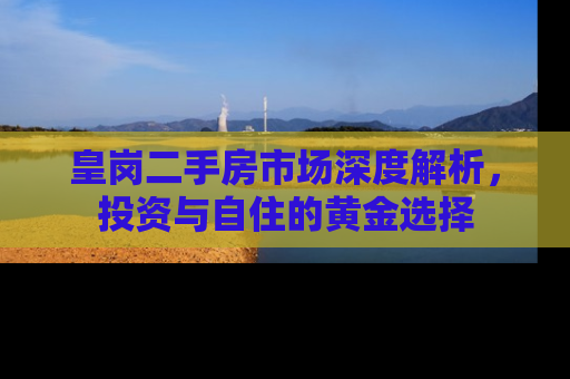 皇岗二手房市场深度解析，投资与自住的黄金选择