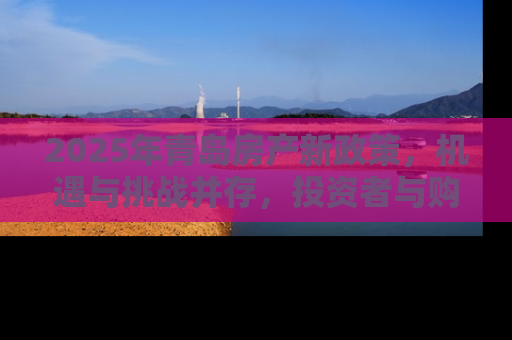 2025年青岛房产新政策，机遇与挑战并存，投资者与购房者的新指南
