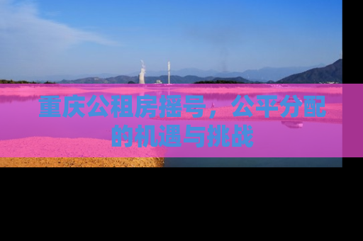 重庆公租房摇号，公平分配的机遇与挑战